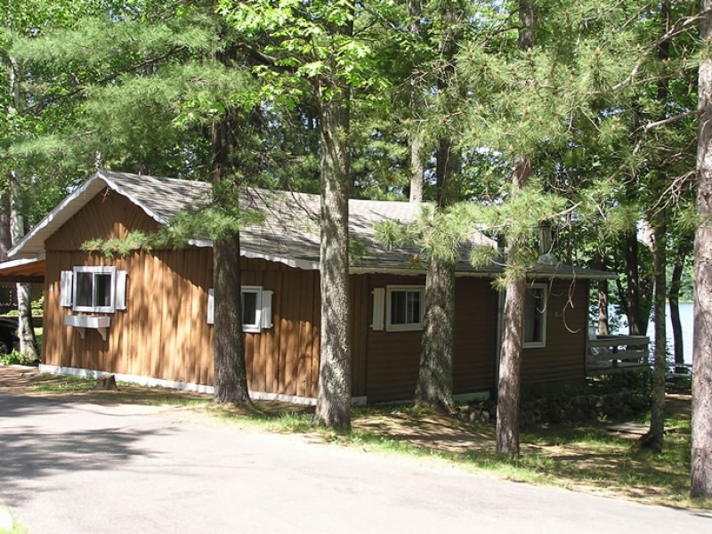 Cabin 11